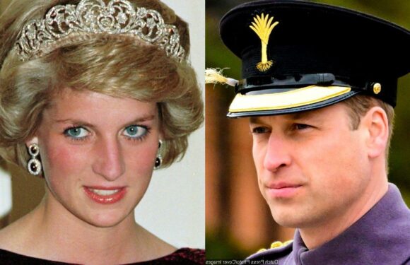Prince William Says Princess Diana May Be Disappointed by Lack of Homelessness Program