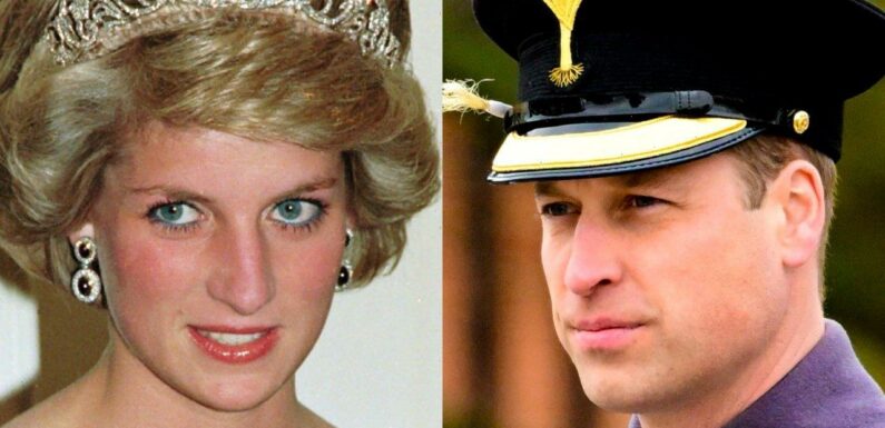 Prince William Says Princess Diana May Be Disappointed by Lack of Homelessness Program