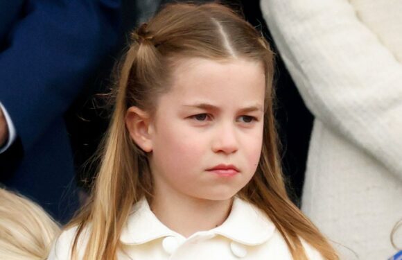 Princess Charlotte’s dress now comes in adult sizes and is so cute