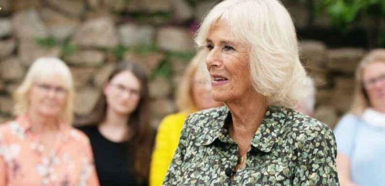 Queen Camilla makes Antiques Roadshow history with rare find