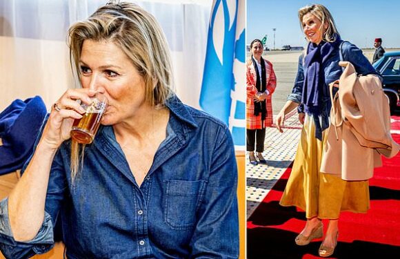 Queen Maxima touches down in Morocco for UN financial talks