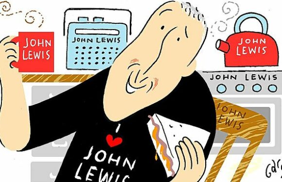 RICHARD LITTLEJOHN: John Lewis: Never knowingly undervalued- until now