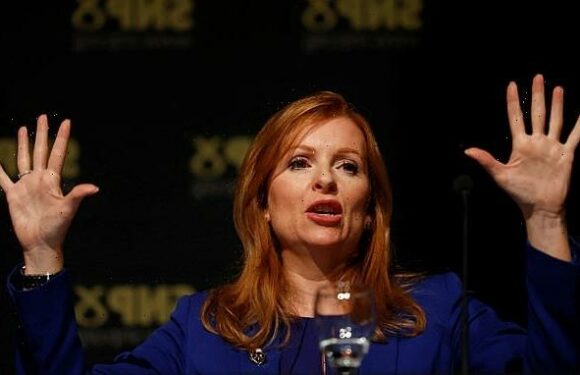 SNP's Regan says Scottish borders vote Tory because they don't get STV