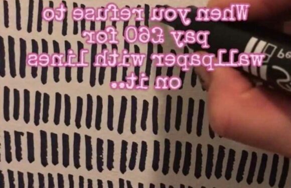 Savvy homeowner shares £1 fake wallpaper hack – all you need is a marker pen | The Sun