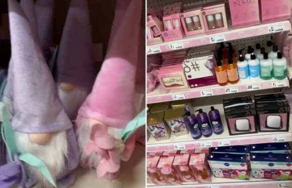 Savvy shoppers go wild for the new Mother’s Day range at Poundland – there's loads of amazing gifts & cards for only £1 | The Sun