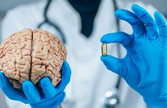 Scientists hatch mad plan to build ‘organoid’ computers using real human brains