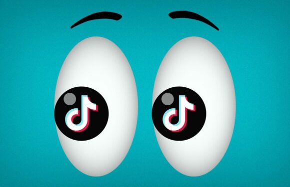 Scoop: Oracle begins auditing TikTok's algorithms