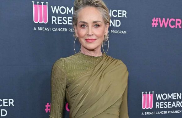 Sharon Stone Says She Lost 'Half My Money to This Banking Thing' in Deeply Emotional Speech
