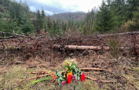 Sick actions of schoolgirls after they 'stabbed 12-year-old classmate to death' revealed | The Sun