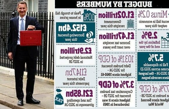 Stealth tax raid in new budget is set to rake in £120billion