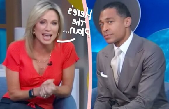 TJ Holmes & Amy Robach Shopping Around A New TV Show – Together!