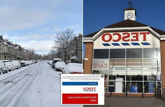Tesco's 'nationwide' system error leads to axed home deliveries