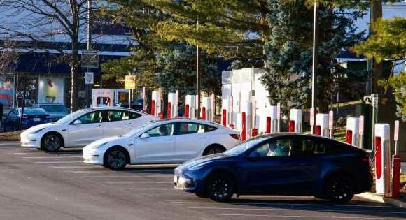 Tesla owner accidentally steals someone else’s car thanks to major app ‘glitch’