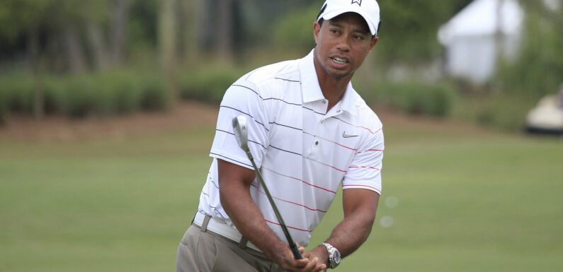 The 8 Most Expensive Watches Owned By Tiger Woods