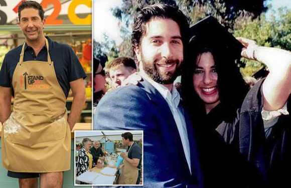 The Great Celebrity Bake Off 2023: David Schwimmer has kitchen dilemma