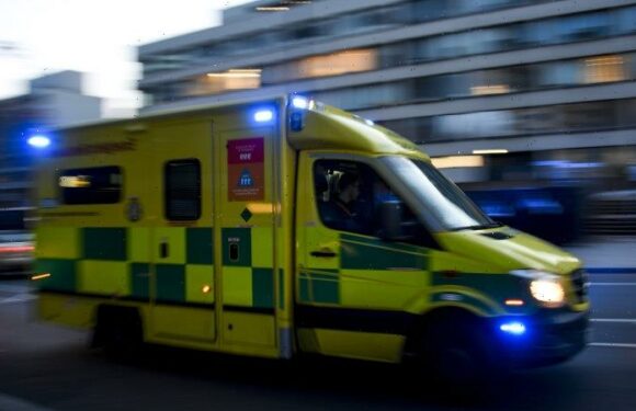 The mystery of 250,000 dead Britons