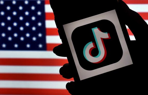 TikTok ban: Is the app getting banned in the US? | The Sun