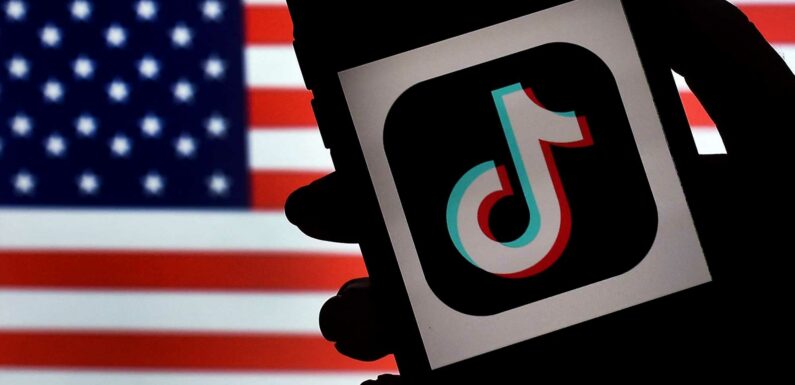 TikTok ban: Is the app getting banned in the US? | The Sun
