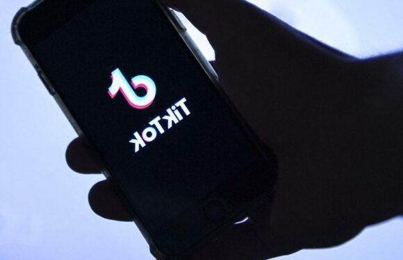 TikTok could be banned in the UK amid China spying fears, according to ministers