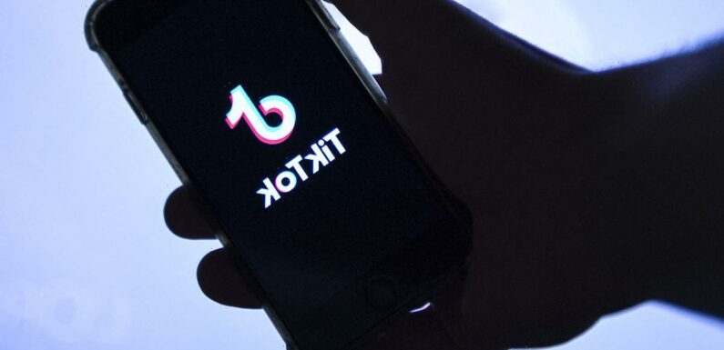 TikTok could be banned in the UK amid China spying fears, according to ministers