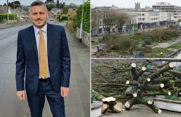 Tory leader who ordered felling of 110 trees in Plymouth QUITS