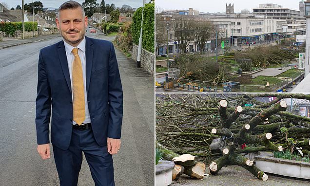 Tory leader who ordered felling of 110 trees in Plymouth QUITS