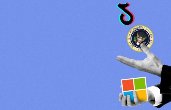 Trump issues order banning TikTok if not sold within 45 days