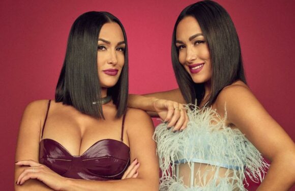 Twin Love Dating Series Set at Amazon, WWE Stars Nikki and Brie Bella to Host