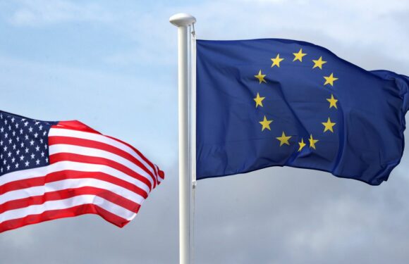 U.S., EU set 60-day deadline for researchers to study AI impacts