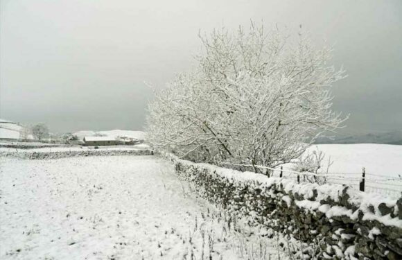 UK weather: Met Office map reveals exactly where snow will hit in just days | The Sun