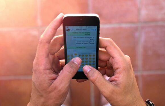 WhatsApp grey tick explained including key sign you’ve been blocked