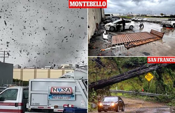Wild video shows rare tornado touching down near downtown Los Angeles