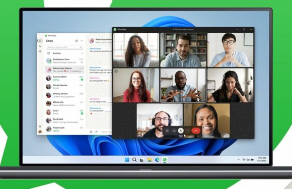 Windows and WhatsApp users urged to download all-new chat app