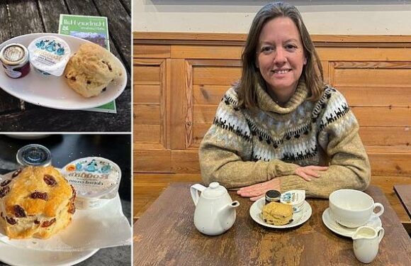 Woman samples a scone at every possible National Trust location