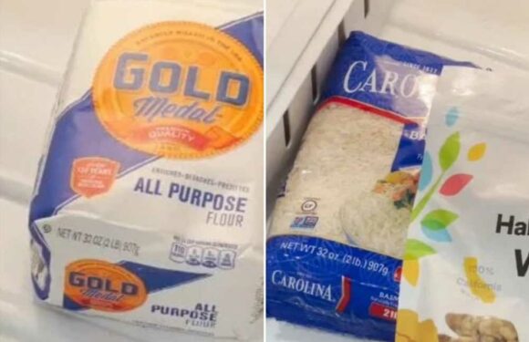 Woman shares three things people never knew you can freeze – and others reckon meal times are about to get loads easier | The Sun