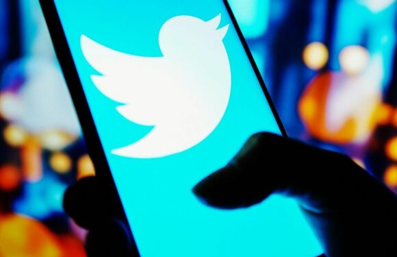 Worrying new Twitter fraud uncovered that could be cost you