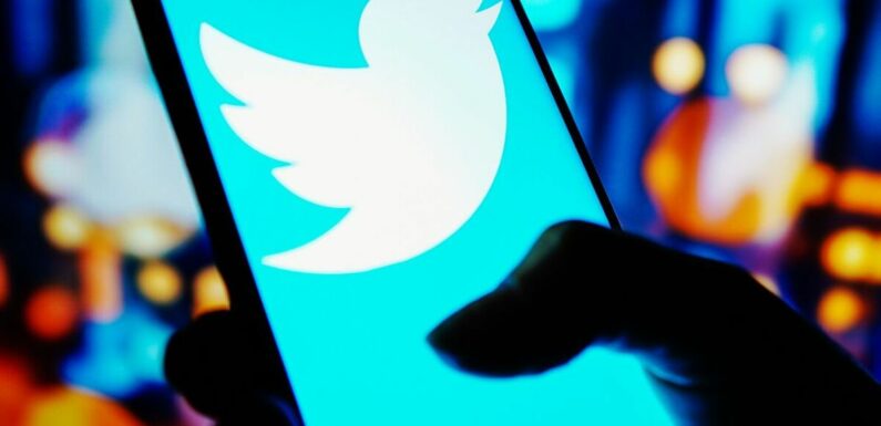 Worrying new Twitter fraud uncovered that could be cost you