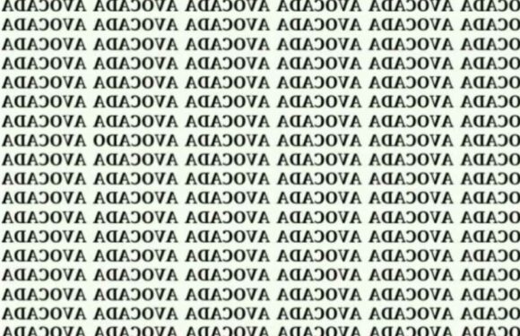 You could have a genius IQ if you can spot the correctly spelled word in this brain teaser in five seconds | The Sun