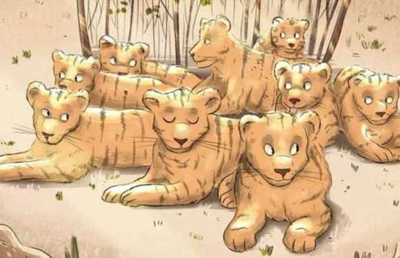 You have the eyes of a hawk if you can spot the hidden jaguar in this optical illusion in just six seconds | The Sun