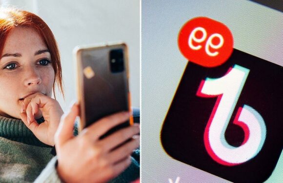You now have to pay for certain TikTok videos under controversial new rules