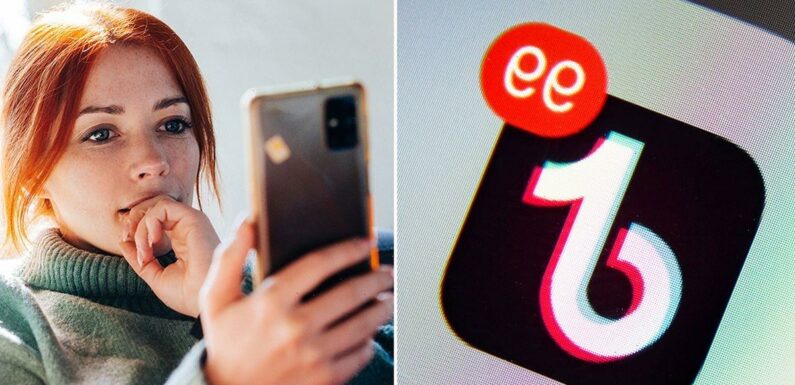 You now have to pay for certain TikTok videos under controversial new rules