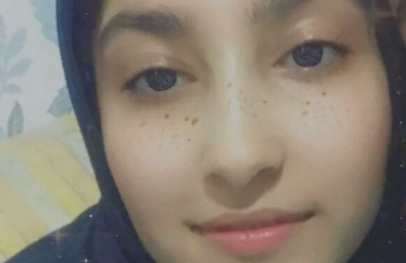 Young woman, 20, 'stabbed to death with metal spike by uncle then dumped "like rubbish" in honour killing' | The Sun