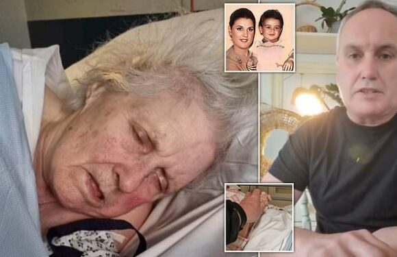 'Don't let this beautiful lady die in vain' Son of woman demands