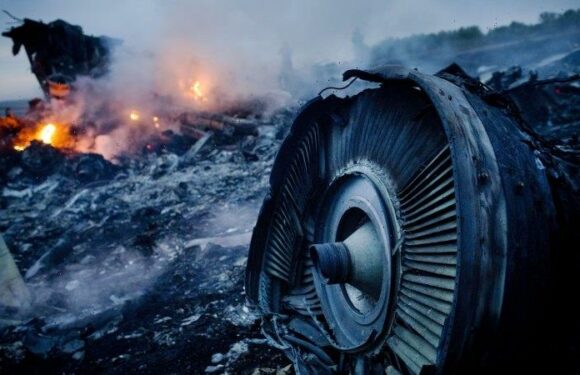 ‘Apply sanctions on these murderers’: Opposition calls for action over downing of MH17
