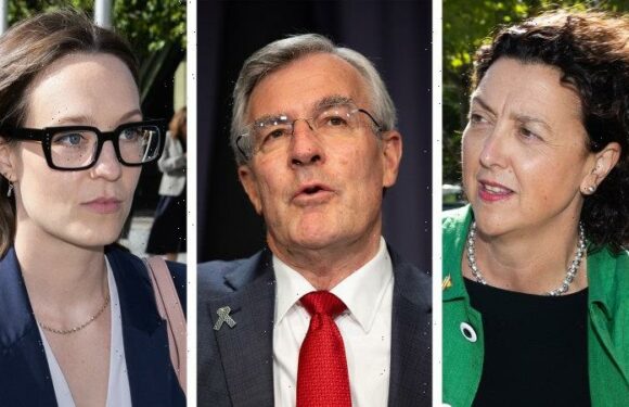 ‘Big settlement’ denied as attorney-general drawn into Rugg v Ryan dispute