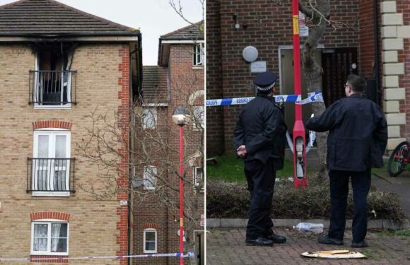 ‘Hero’ neighbours reveal how they ‘caught children jumping off balcony’ as family fled flat fire that killed boy, 11 | The Sun