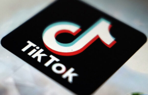 ‘Sophisticated surveillance tool’: US regulator calls for Australian TikTok ban