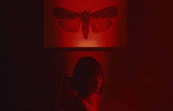 ‘New Religion’ Japanese Body Horror Film Set as Screambox Original (EXCLUSIVE)