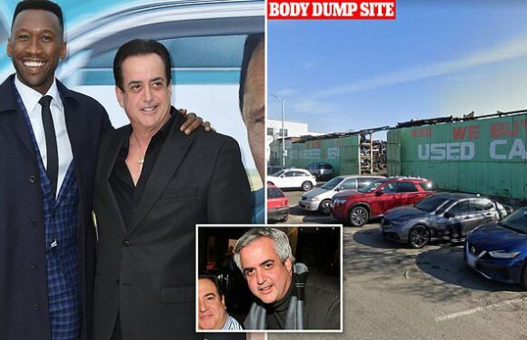 Actor Frank Vallelonga Jr, 60, died of coke and fentanyl overdose