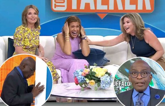 Al Roker bangs his head on the wall over Savannah, Hoda, Jenna decluttering segment